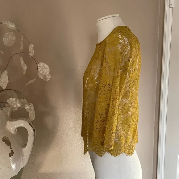 Zara lace top - Picture 2 of 7